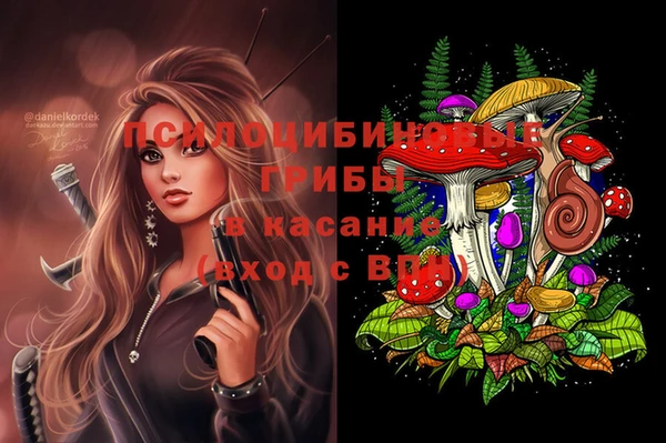 2c-b Алзамай